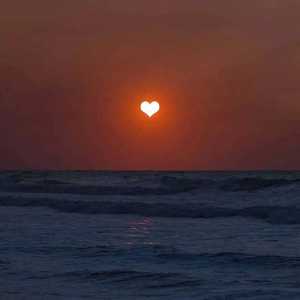 fr 1 day外国黄色大片
